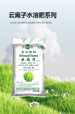蜜桃网站入口可看云离子蜜桃APP软件下载肥系列