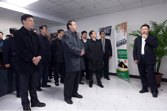 时任河南省省委书记郭庚茂（前排左二）、省长谢伏瞻（前排左一）莅临蜜桃网站入口可看集团指导工作