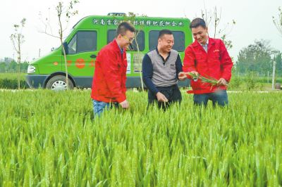 蜜桃网站入口可看化肥定制化生产让经销商扮演新角色